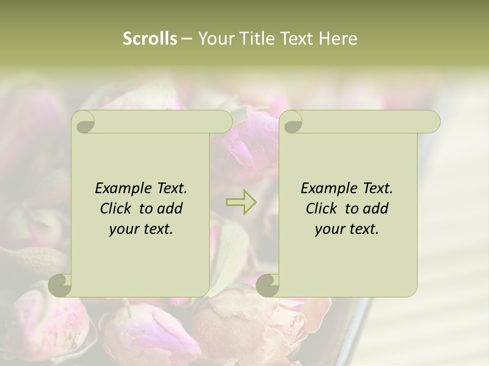 Rose Buds Rose Tea No People PowerPoint Template