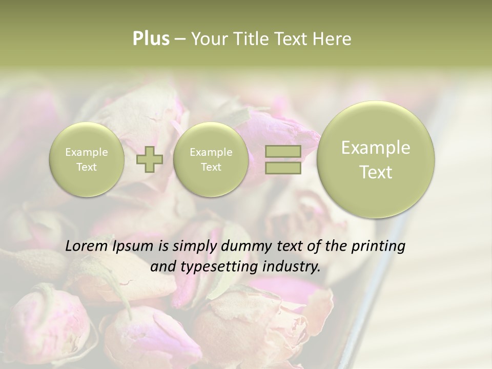 Rose Buds Rose Tea No People PowerPoint Template