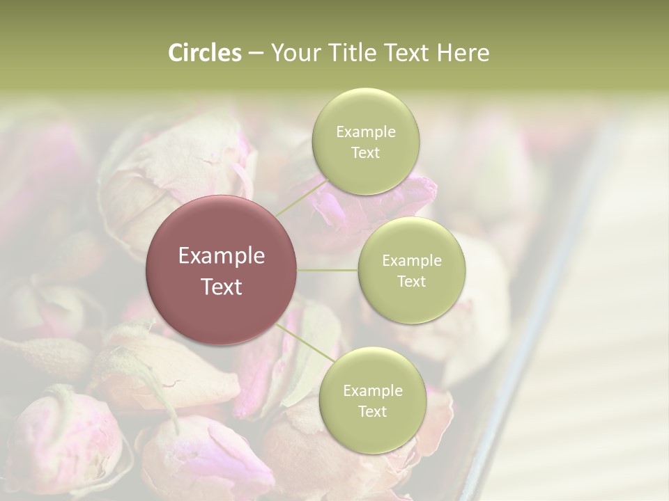 Rose Buds Rose Tea No People PowerPoint Template