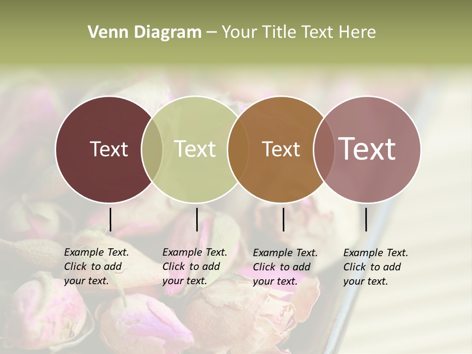 Rose Buds Rose Tea No People PowerPoint Template