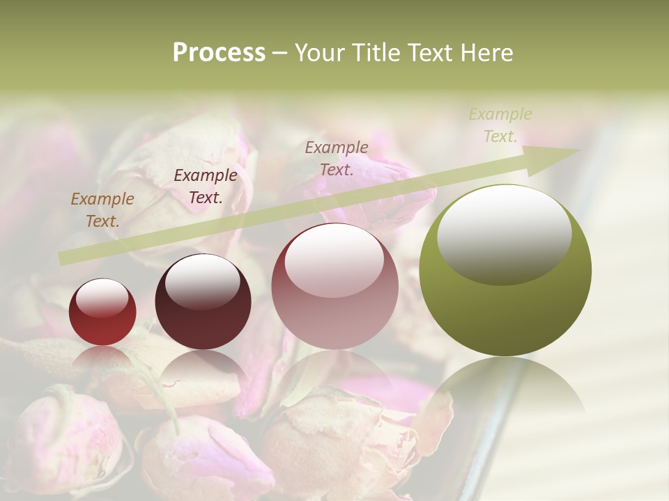 Rose Buds Rose Tea No People PowerPoint Template