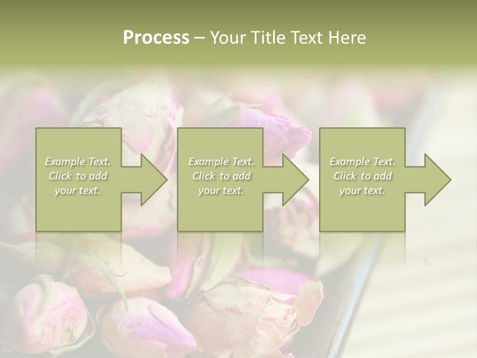 Rose Buds Rose Tea No People PowerPoint Template