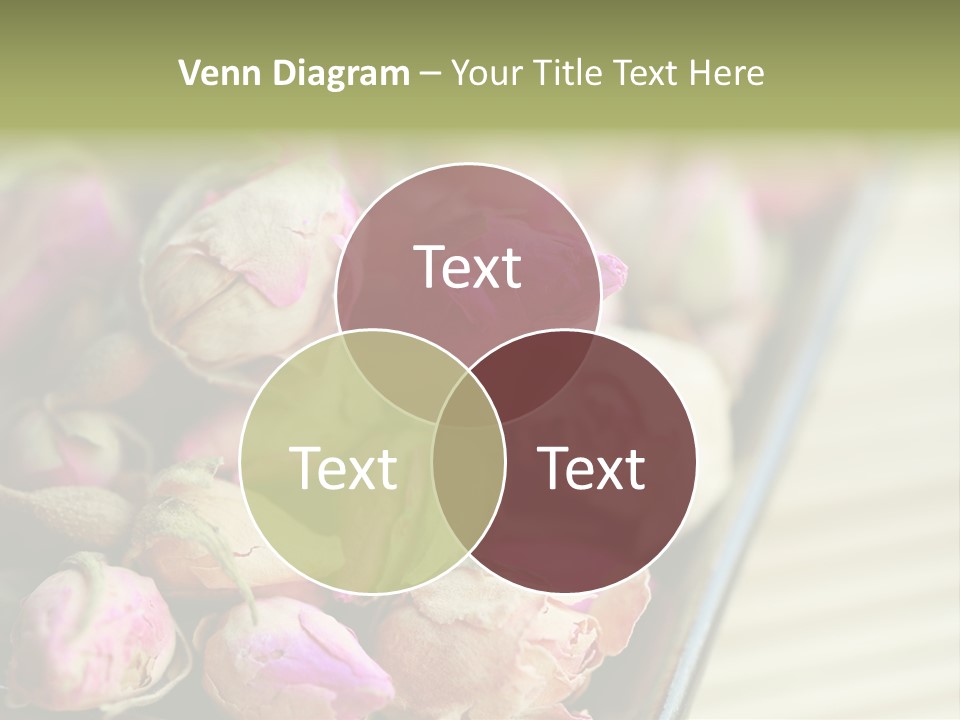 Rose Buds Rose Tea No People PowerPoint Template