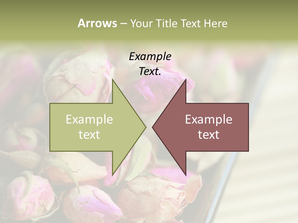 Rose Buds Rose Tea No People PowerPoint Template