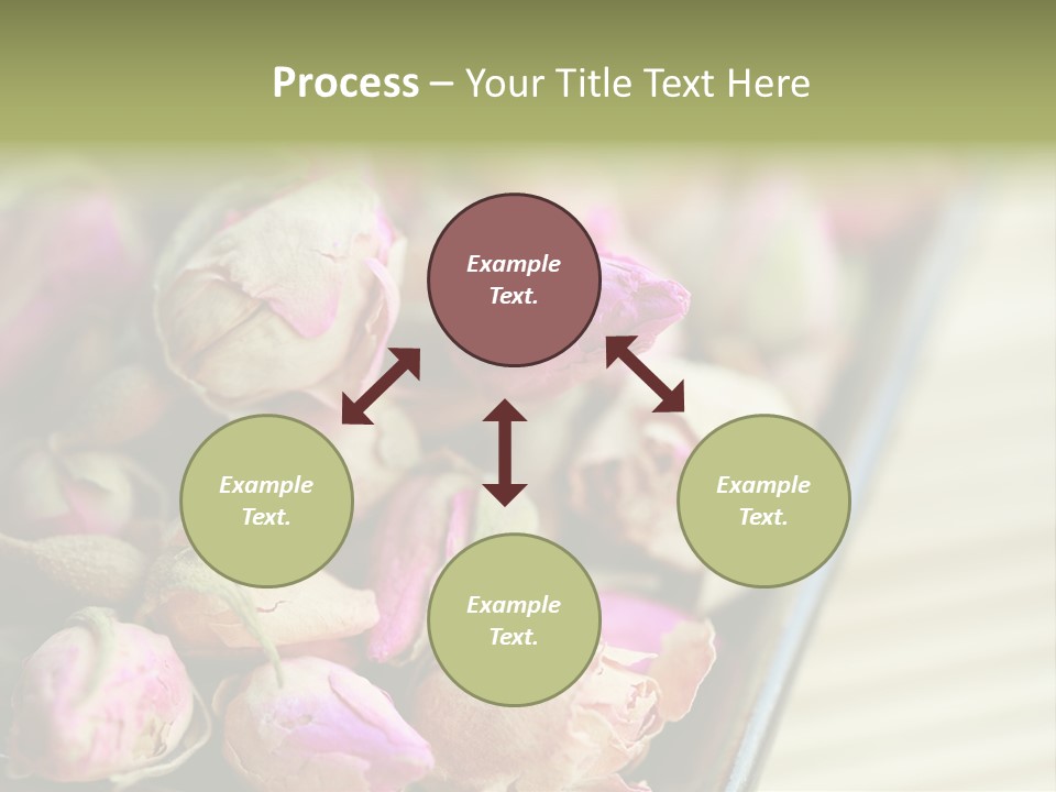 Rose Buds Rose Tea No People PowerPoint Template