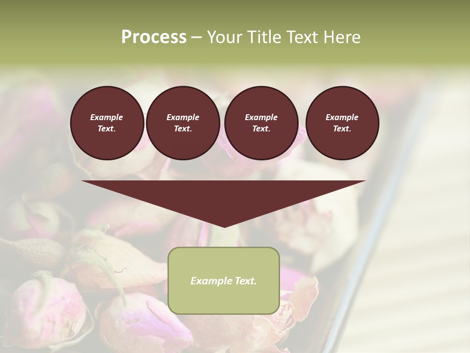 Rose Buds Rose Tea No People PowerPoint Template