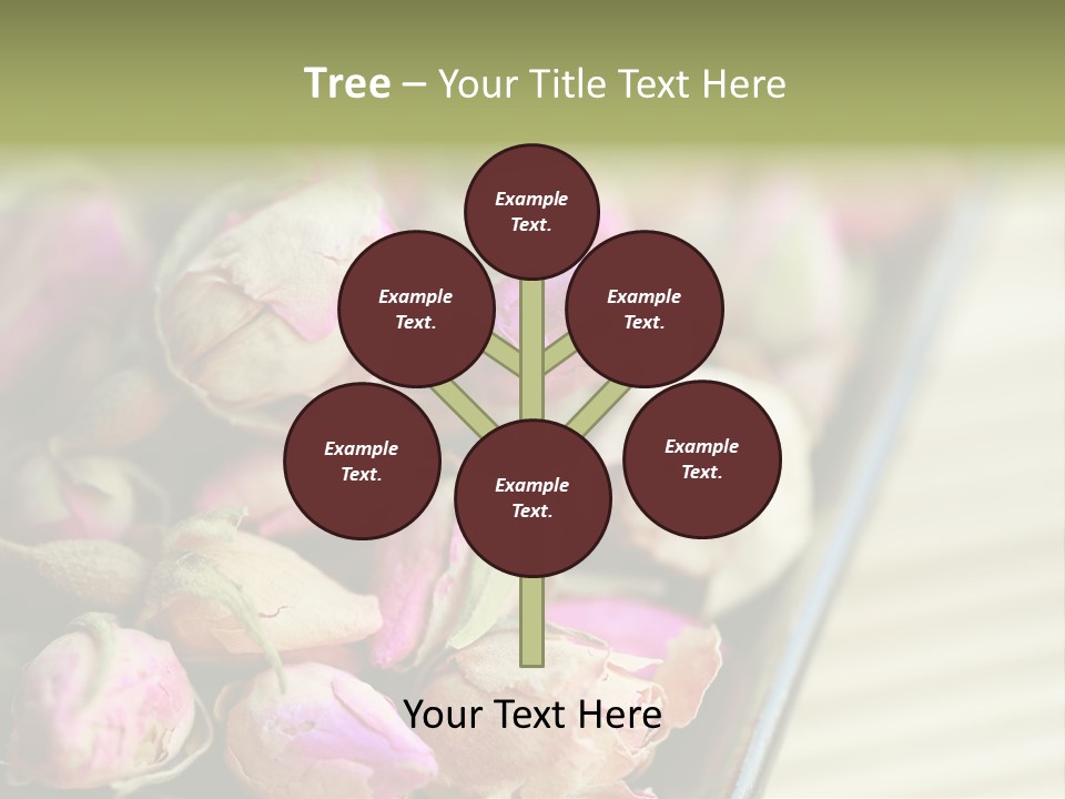 Rose Buds Rose Tea No People PowerPoint Template