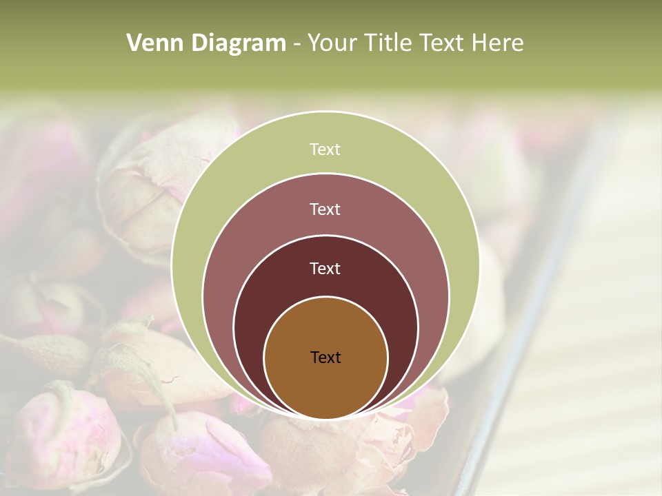 Rose Buds Rose Tea No People PowerPoint Template