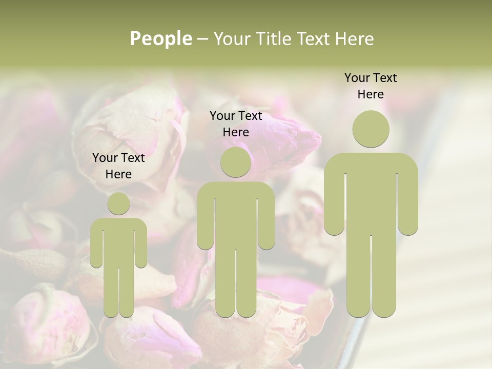 Rose Buds Rose Tea No People PowerPoint Template