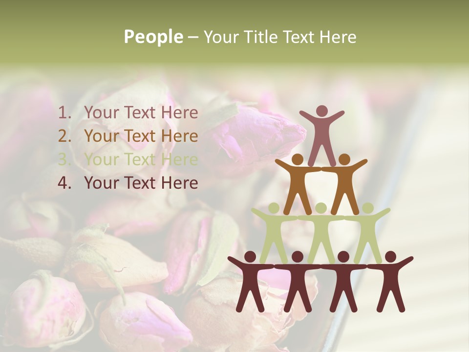 Rose Buds Rose Tea No People PowerPoint Template