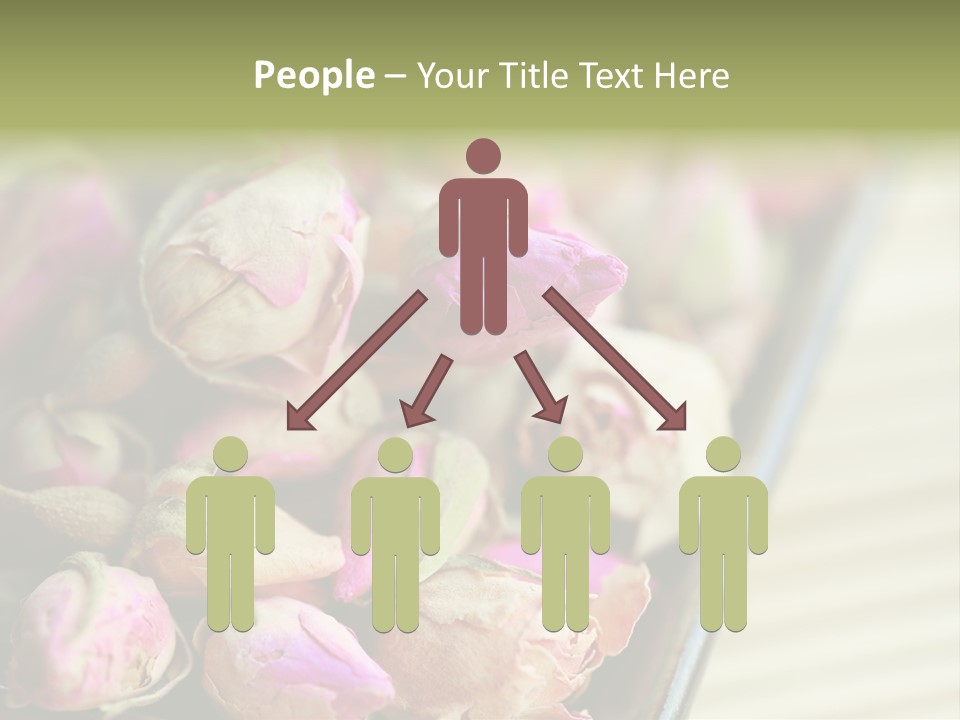 Rose Buds Rose Tea No People PowerPoint Template
