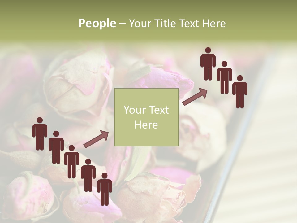 Rose Buds Rose Tea No People PowerPoint Template