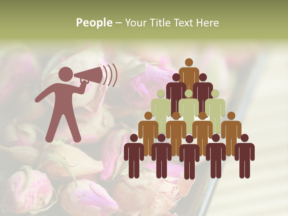 Rose Buds Rose Tea No People PowerPoint Template