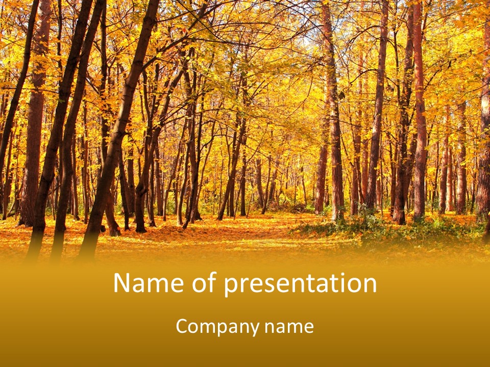 Forest Russia Road PowerPoint Template