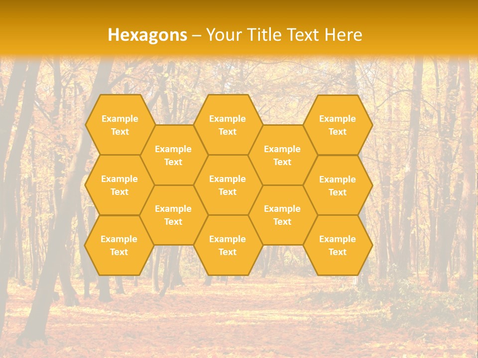 Forest Russia Road PowerPoint Template