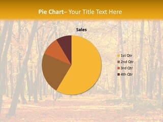 Forest Russia Road PowerPoint Template