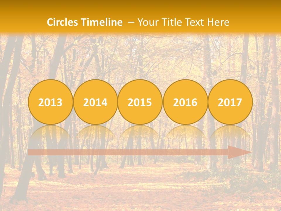 Forest Russia Road PowerPoint Template