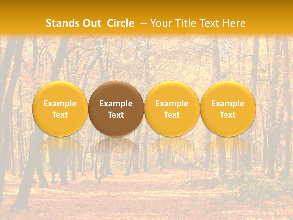 Forest Russia Road PowerPoint Template