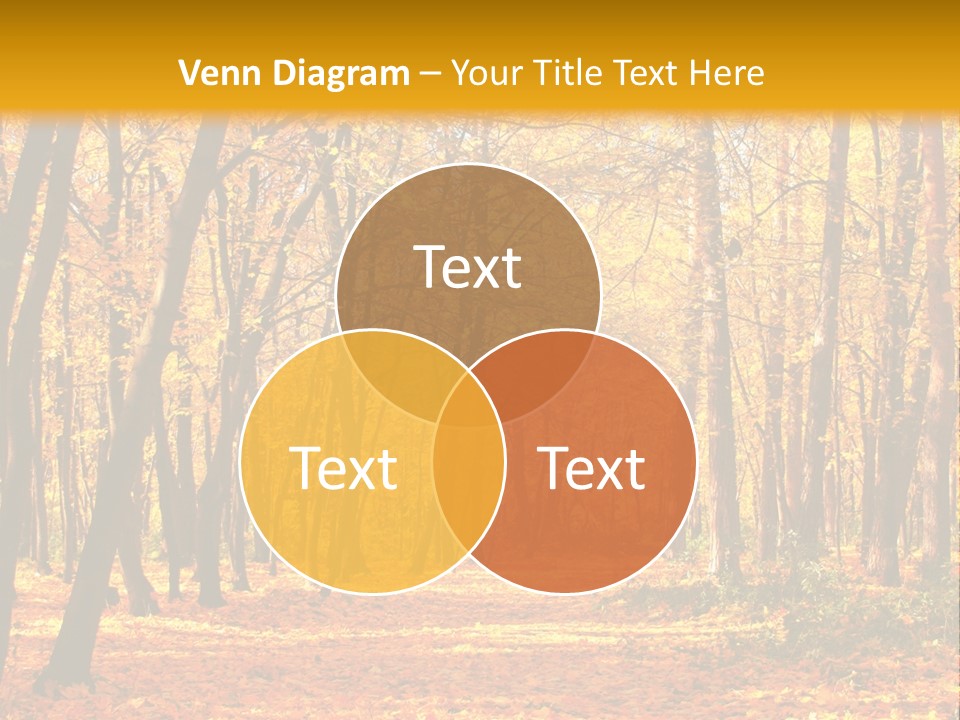 Forest Russia Road PowerPoint Template