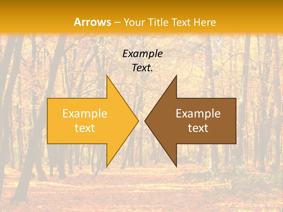Forest Russia Road PowerPoint Template