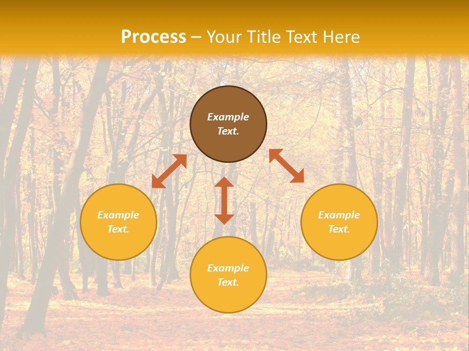 Forest Russia Road PowerPoint Template