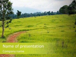 Holiday Outdoor Natural PowerPoint Template