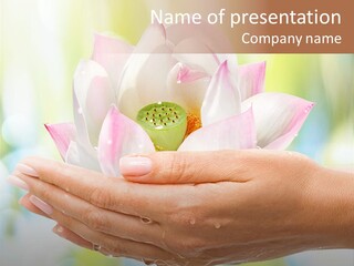 Sun Day Meditation Pestle PowerPoint Template