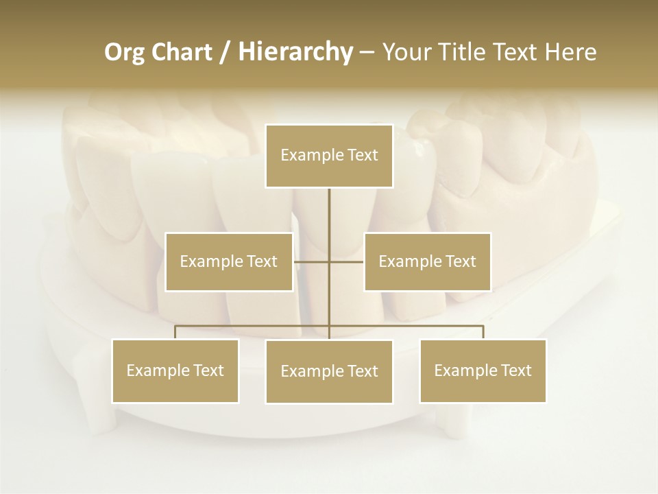 Jaw Denture Medicine PowerPoint Template