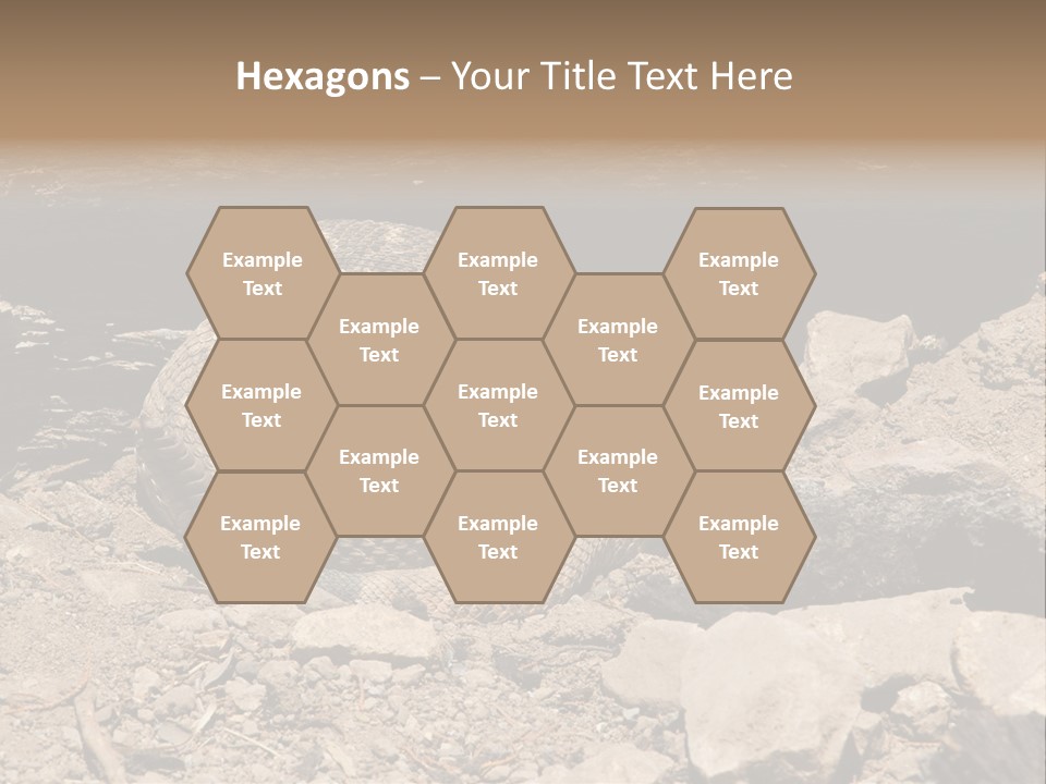 Head Serpent Viper PowerPoint Template