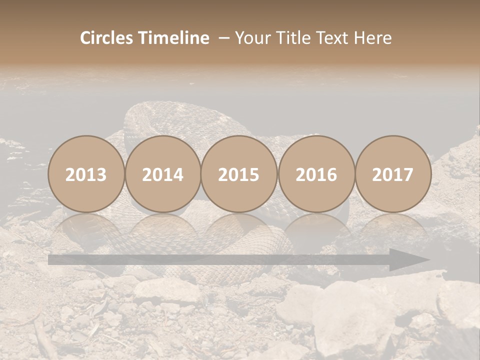 Head Serpent Viper PowerPoint Template