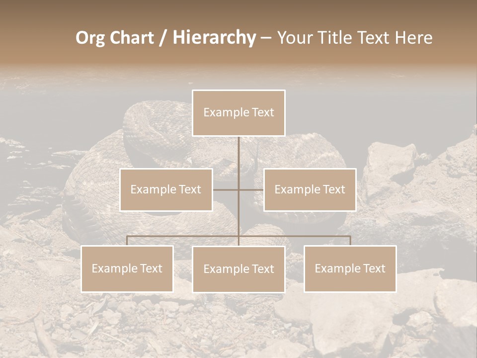 Head Serpent Viper PowerPoint Template