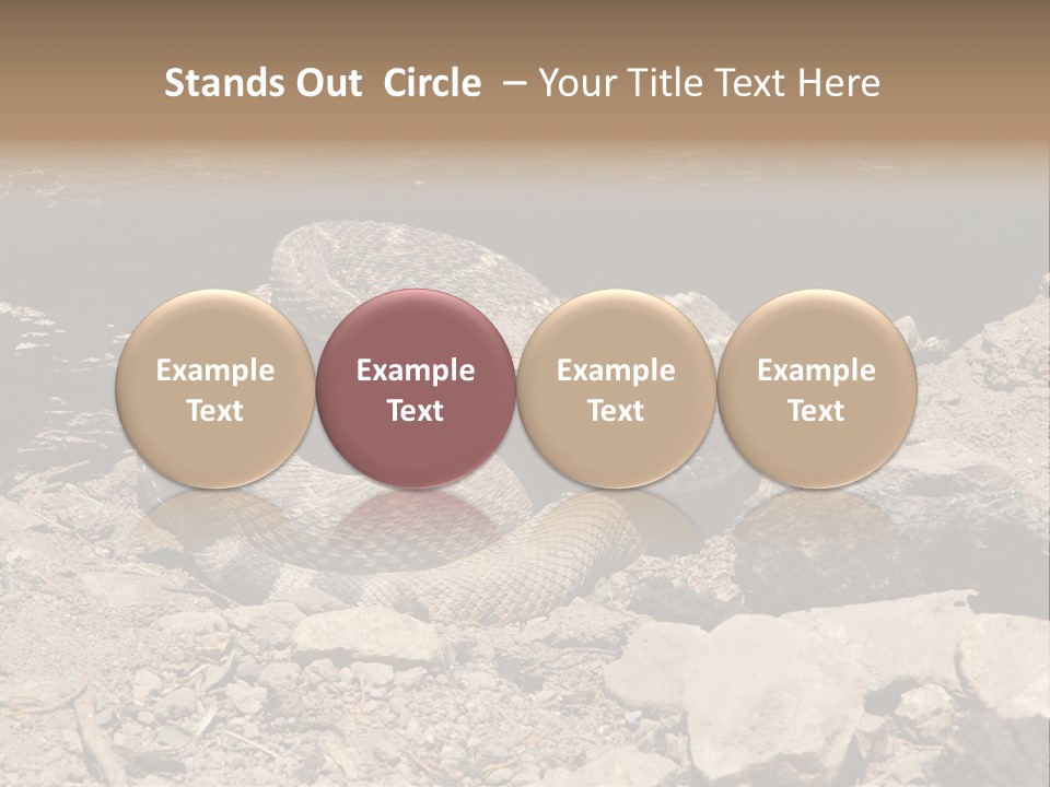 Head Serpent Viper PowerPoint Template