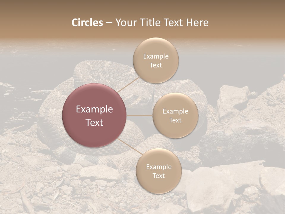 Head Serpent Viper PowerPoint Template