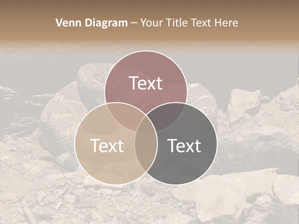 Head Serpent Viper PowerPoint Template