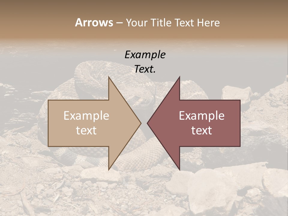 Head Serpent Viper PowerPoint Template