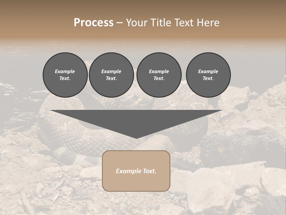 Head Serpent Viper PowerPoint Template