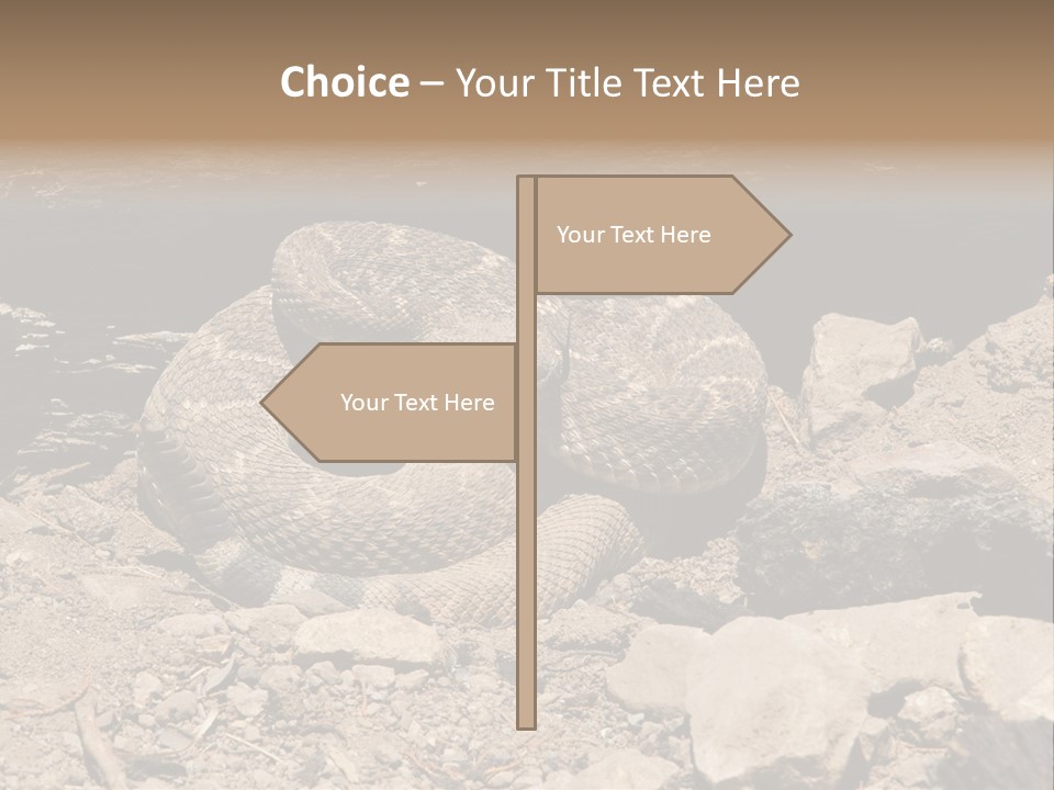 Head Serpent Viper PowerPoint Template