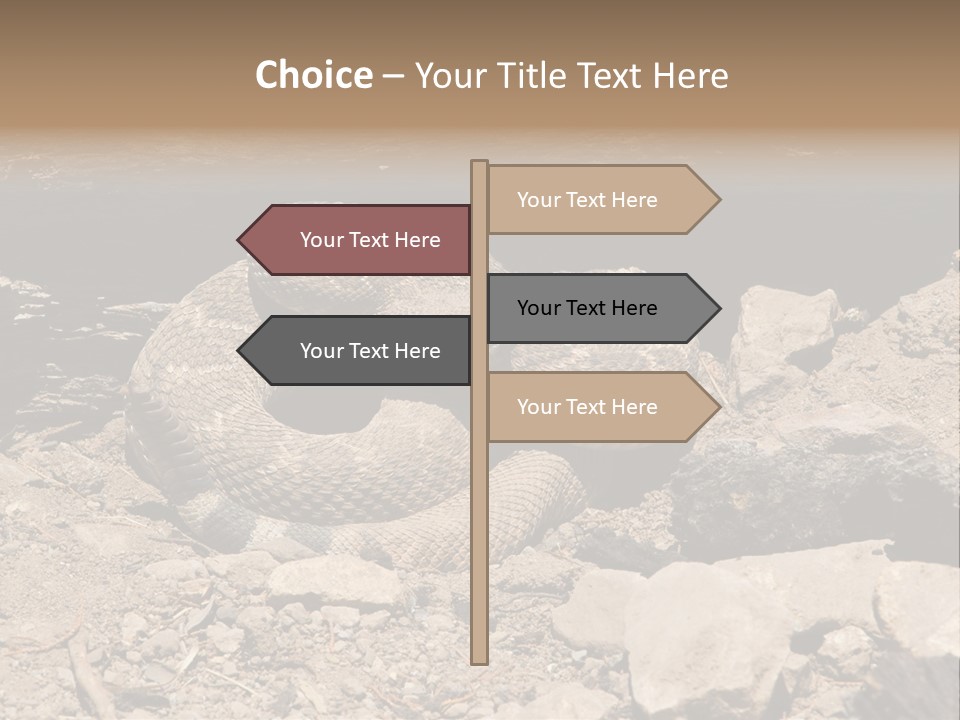 Head Serpent Viper PowerPoint Template