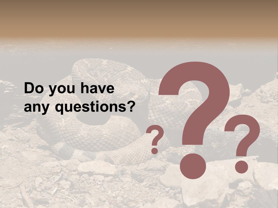 Head Serpent Viper PowerPoint Template