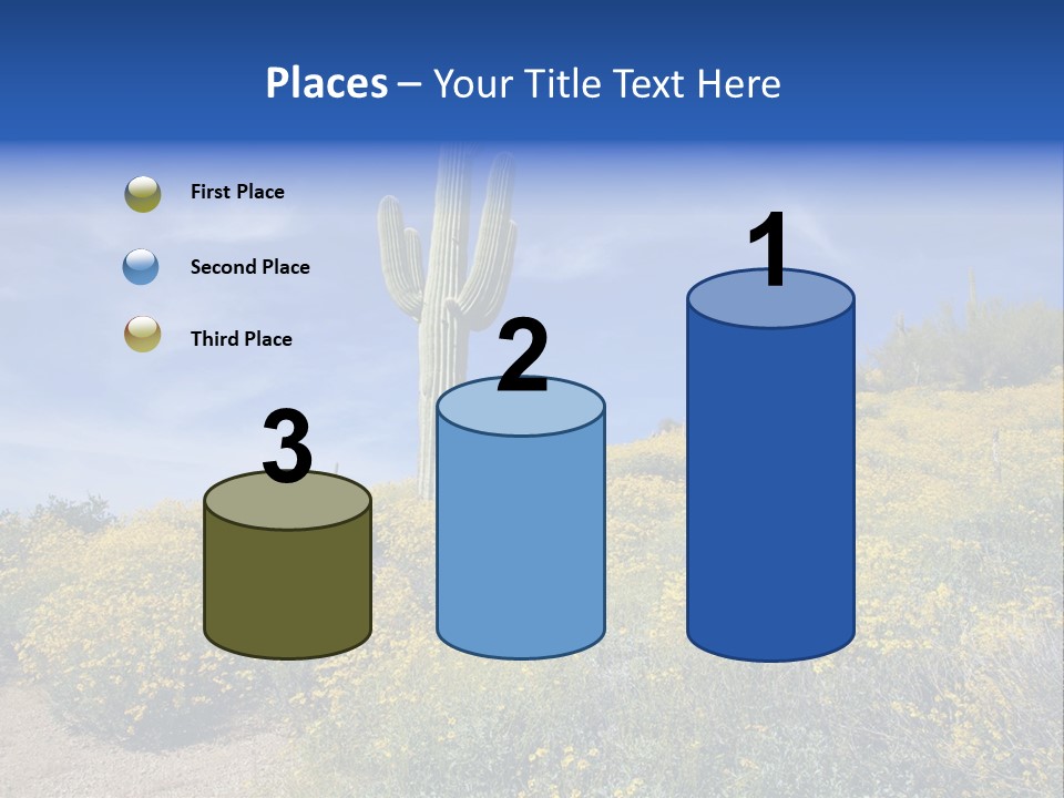 Arizona Saguaro Multi Colored PowerPoint Template