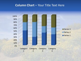 Arizona Saguaro Multi Colored PowerPoint Template