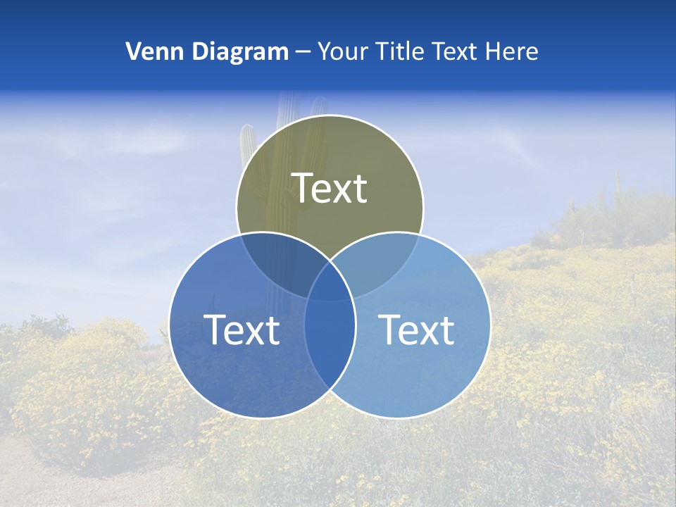 Arizona Saguaro Multi Colored PowerPoint Template