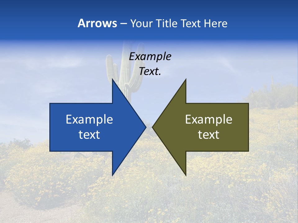 Arizona Saguaro Multi Colored PowerPoint Template