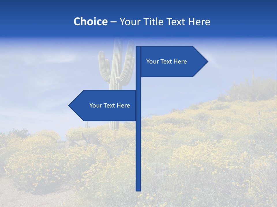 Arizona Saguaro Multi Colored PowerPoint Template