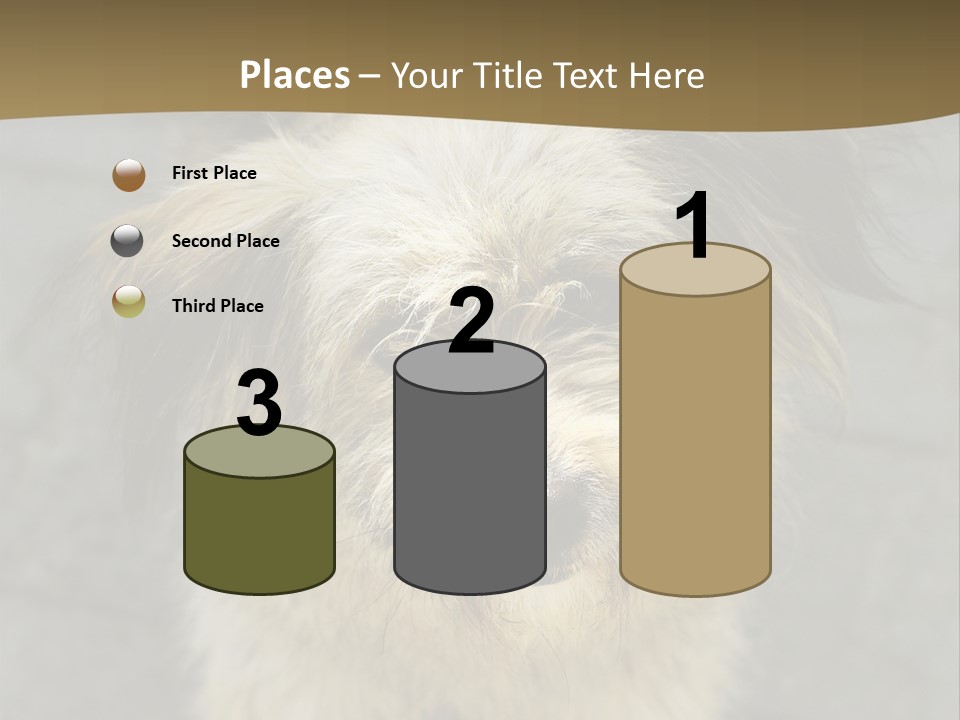 A Brown And Black Dog Standing On Top Of A Sidewalk PowerPoint Template