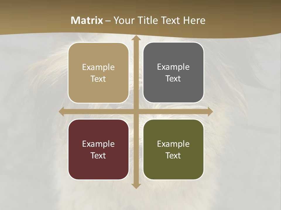 A Brown And Black Dog Standing On Top Of A Sidewalk PowerPoint Template