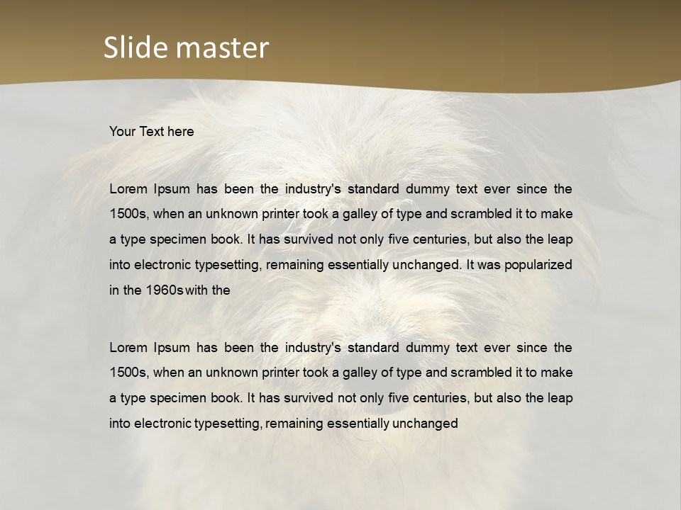 A Brown And Black Dog Standing On Top Of A Sidewalk PowerPoint Template