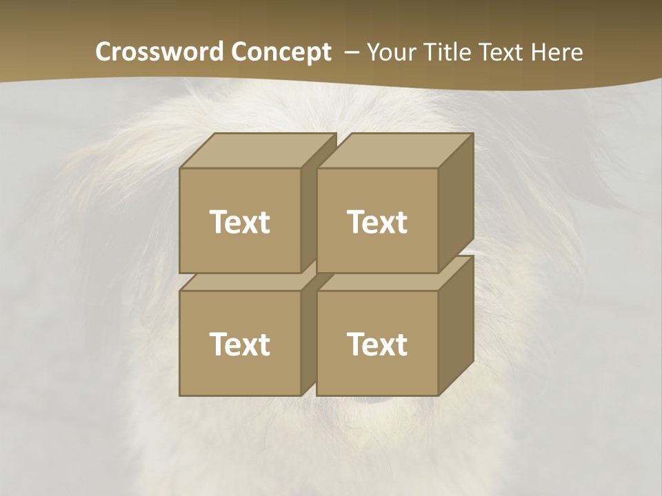 A Brown And Black Dog Standing On Top Of A Sidewalk PowerPoint Template