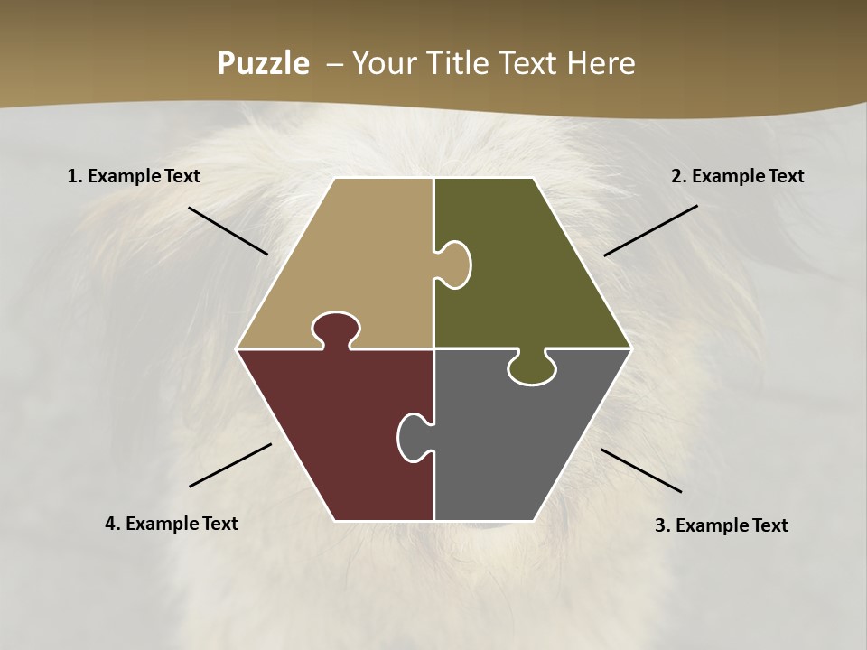 A Brown And Black Dog Standing On Top Of A Sidewalk PowerPoint Template