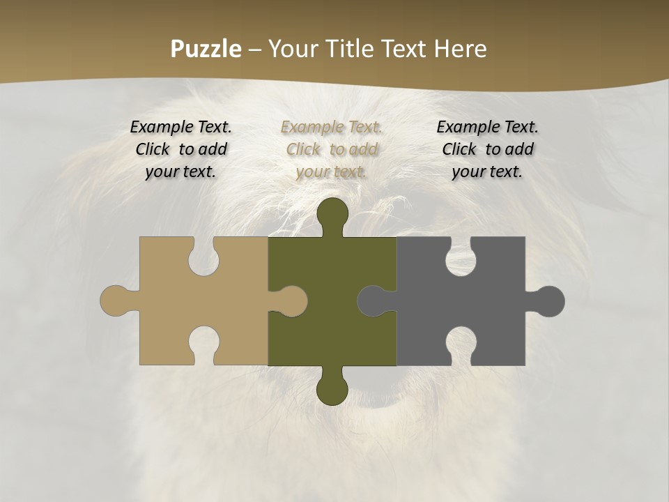 A Brown And Black Dog Standing On Top Of A Sidewalk PowerPoint Template